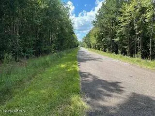 0 Old Chapell Ferry RD, Edgefield, SC 29824