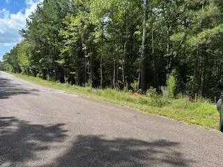0 Old Chapell Ferry Rd, Edgefield, SC 29824