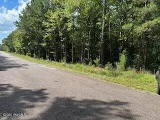 0 Old Chapell Ferry RD, Edgefield, SC 29824