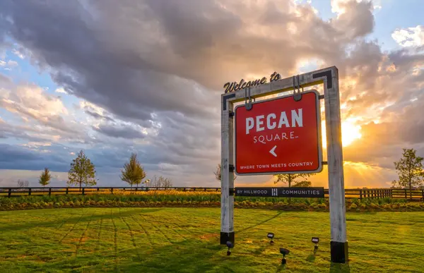 Pecan Square Northlake: A Complete Neighborhood Guide,Dani Hampton