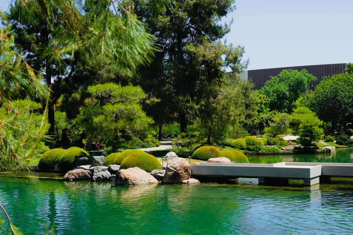 Arizona Japanese Friendship Garden