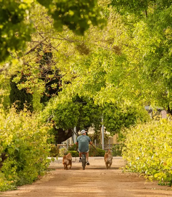 Give me 10 Minutes and You'll Know Exactly Where to Live in Gilbert Arizona