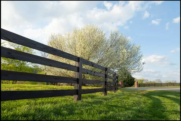 Discover Franklin, TN: Things to Do, Parks, Schools & Top Neighborhoods