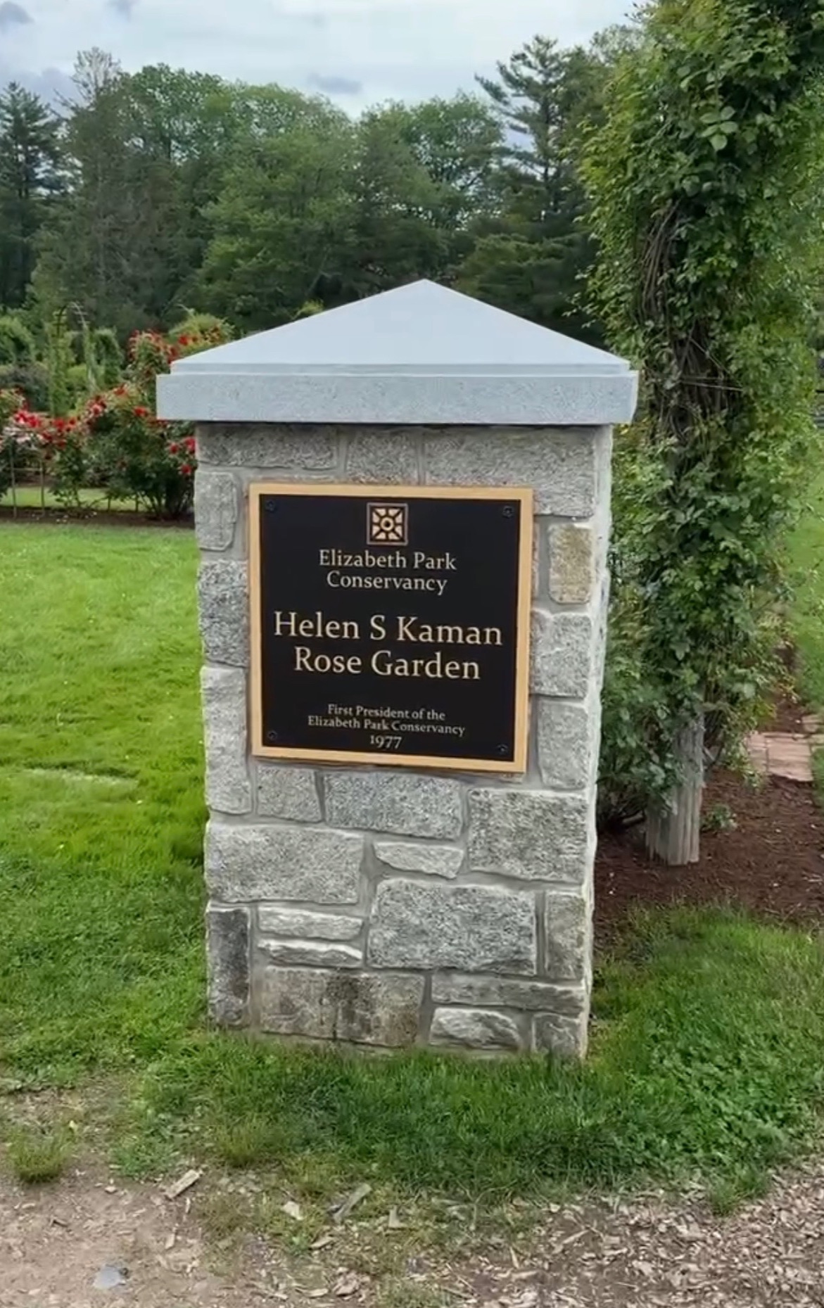 Rose Garden at Elizabeth Park