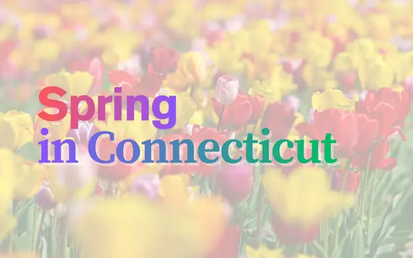 When Spring Arrives in Connecticut: Month-by-Month Bloom Guide,Nick Gilham