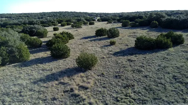 6544 Antler Dr, Fort Mckavett, TX 76841