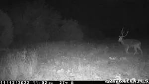 6544 Antler Dr, Fort Mckavett, TX 76841