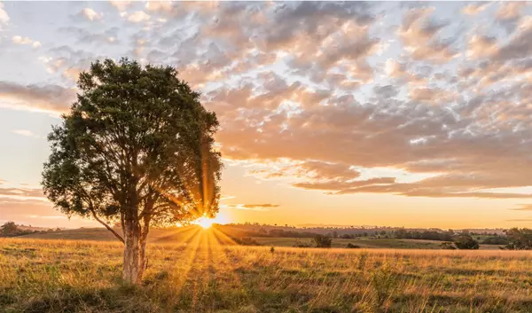 feature image of Finding the Perfect Piece of Land to Build Your Dream Home in Acadiana