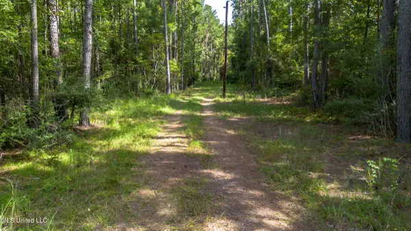 0 Ben Sones Road, Lumberton, MS 39455