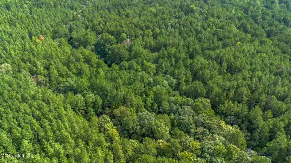 0 Ben Sones Road, Lumberton, MS 39455