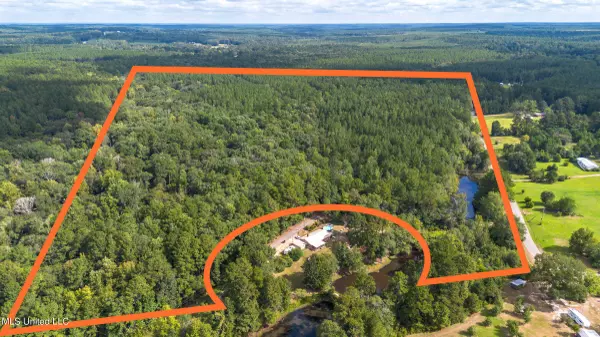 0 Ben Sones Road, Lumberton, MS 39455