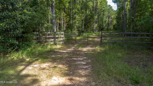 0 Ben Sones Road, Lumberton, MS 39455