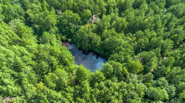 0 Ben Sones Road, Lumberton, MS 39455