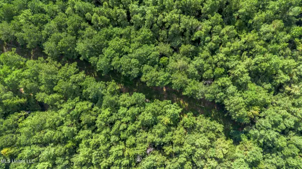 0 Ben Sones Road, Lumberton, MS 39455