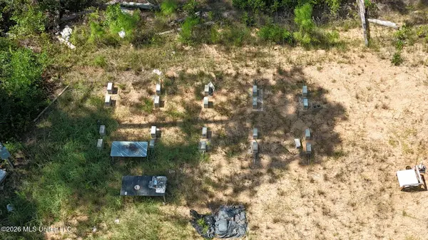 0 Sycamore, Carriere, MS 39426