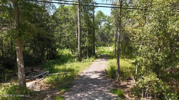 0 Sycamore, Carriere, MS 39426