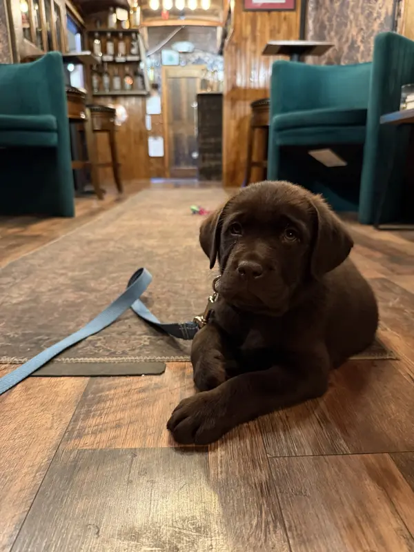 A Summit Favorite: Pullman Distillery — Frisco's Hidden Train Car Bar