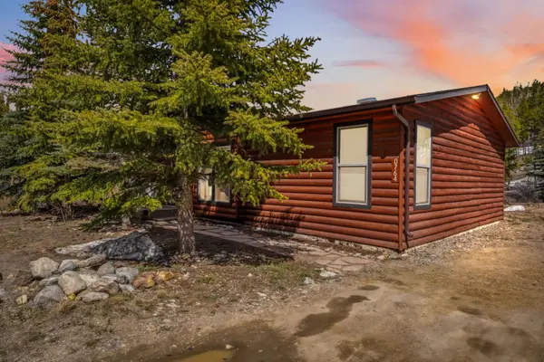 Price Reduction vs. Seller Credit: How to Choose in Summit County, Colorado