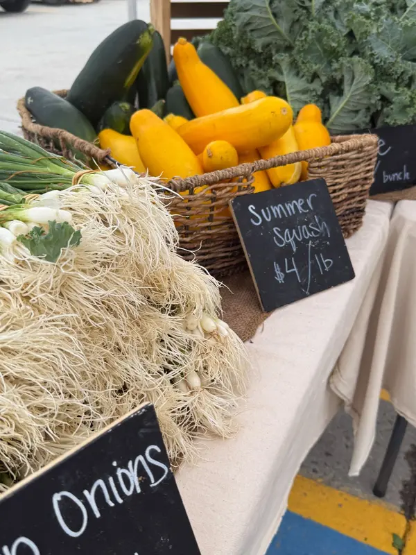 June 2026 Events in Summit County, Colorado: Your Complete Guide