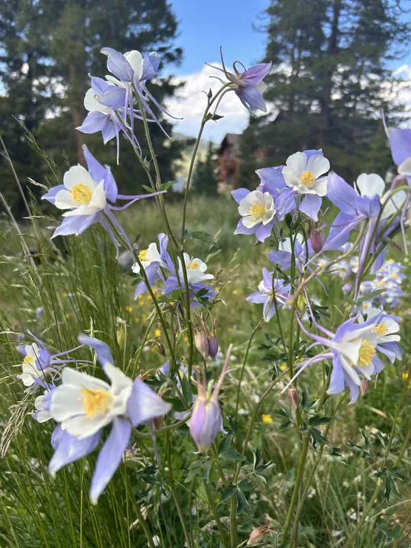 July 2026 Events in Breckenridge, Colorado