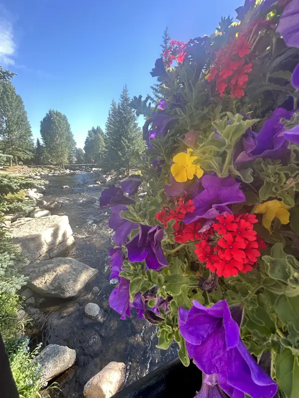 Buyer Closing Costs in Summit County, Colorado: What to Actually Expect