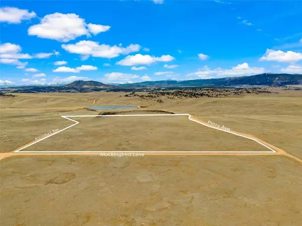 TBD Mockingbird LN, Como, CO 80432