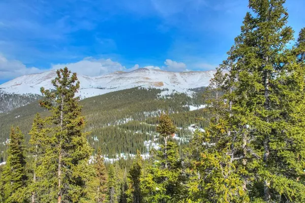 413 Carroll LN, Breckenridge, CO 80424