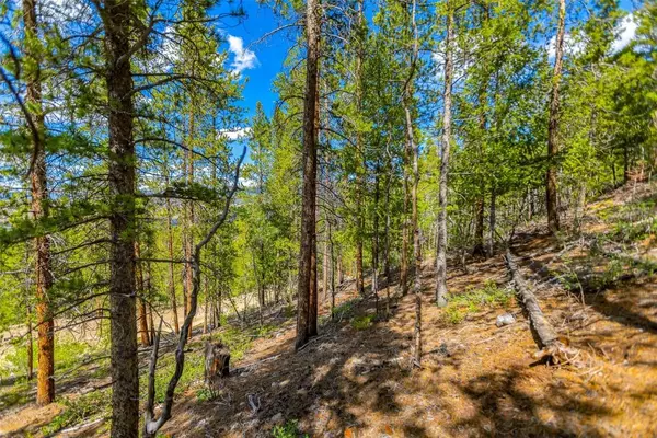 198 Mt Elbert RD, Twin Lakes, CO 81251
