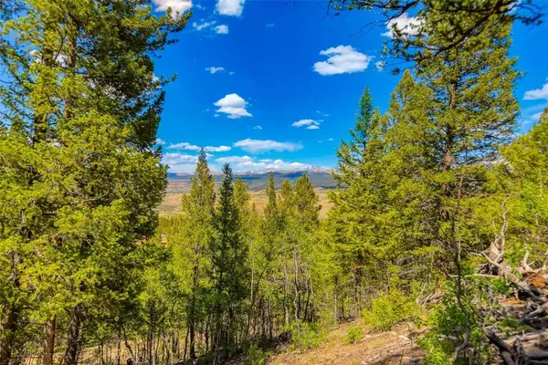 198 Mt Elbert RD, Twin Lakes, CO 81251