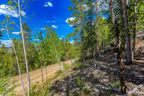 198 Mt Elbert RD, Twin Lakes, CO 81251