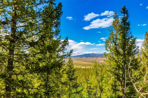 198 Mt Elbert RD, Twin Lakes, CO 81251