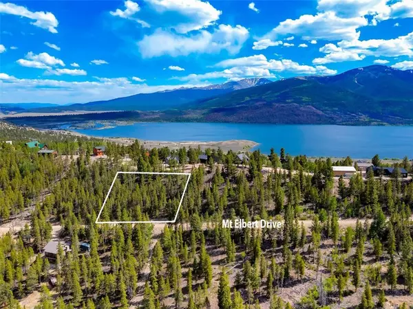 198 Mt Elbert RD, Twin Lakes, CO 81251