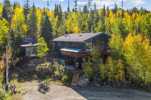 238 Deer Path RD, Dillon, CO 80435