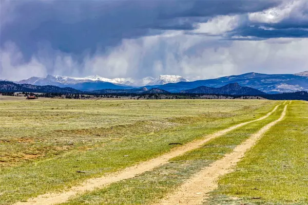 555 North PL, Hartsel, CO 80827