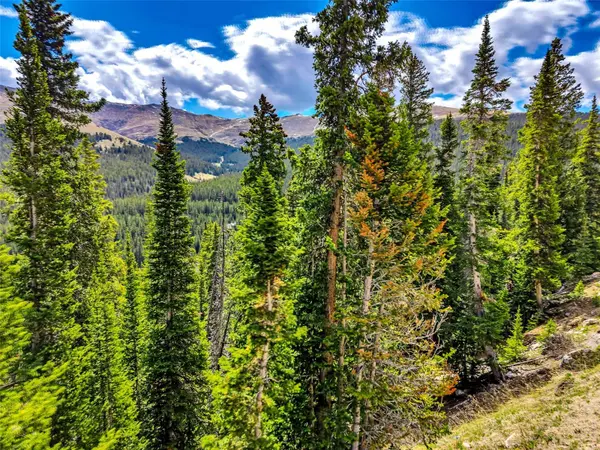 105 & 71 Quandary View, Breckenridge, CO 80424