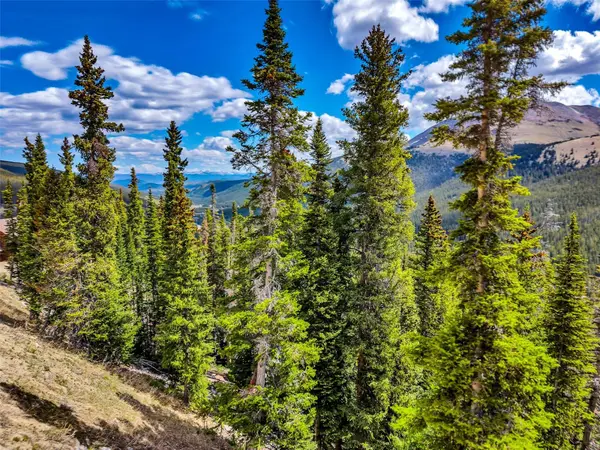 105 & 71 Quandary View, Breckenridge, CO 80424