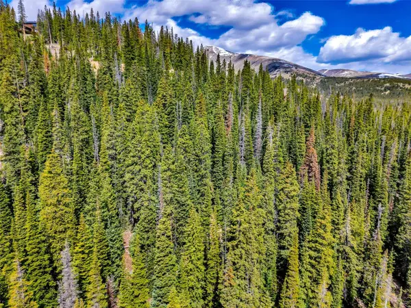 105 & 71 Quandary View, Breckenridge, CO 80424
