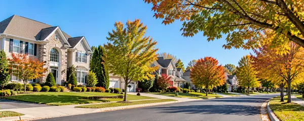 Sunlit Autumn Suburban Street