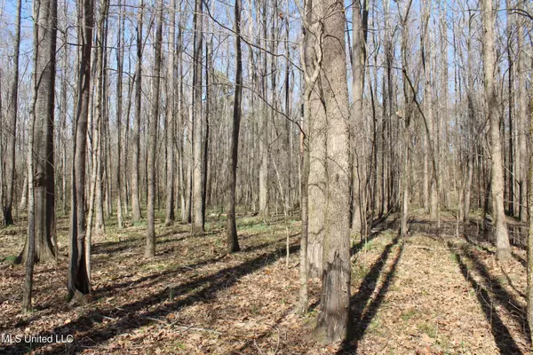 Cr 3225, Kosciusko, MS 39090