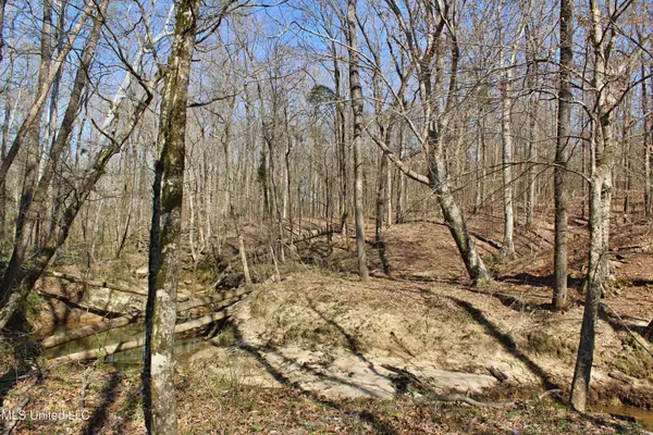 Cr 3225, Kosciusko, MS 39090