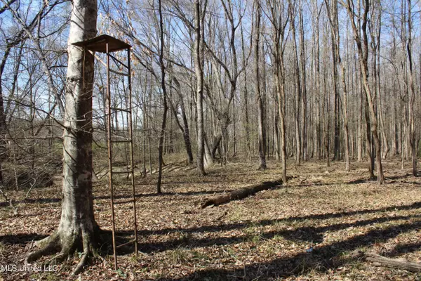 Cr 3225, Kosciusko, MS 39090