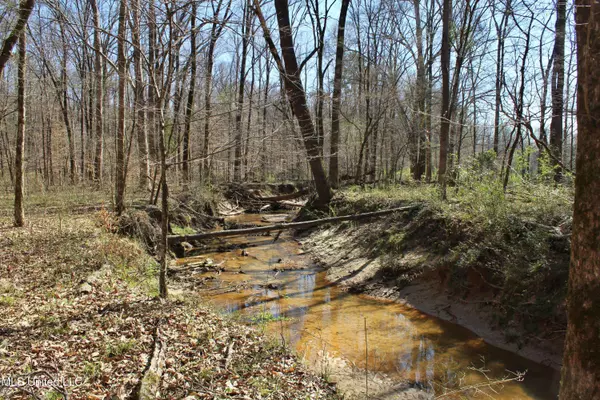 Cr 3225, Kosciusko, MS 39090