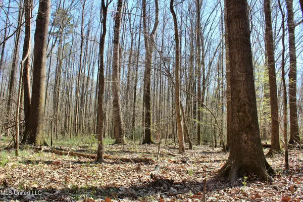 Cr 3225, Kosciusko, MS 39090