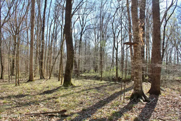 Cr 3225, Kosciusko, MS 39090