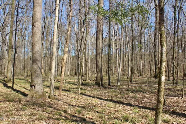 Cr 3225, Kosciusko, MS 39090