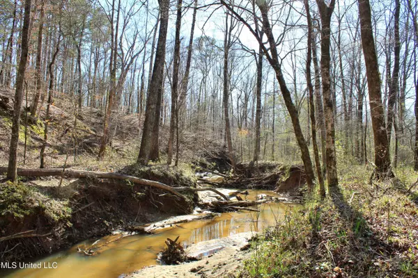 Cr 3225, Kosciusko, MS 39090