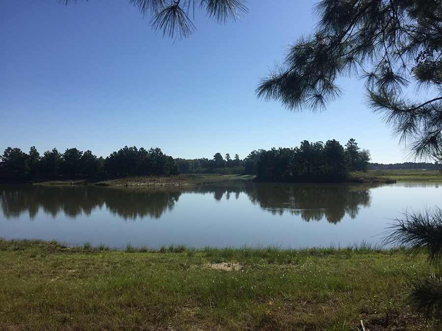 3639 Cottage Pines Lane Spring TX 77386 enjoys access to Lake Holcomb as part of The Falls of Imperial Oaks