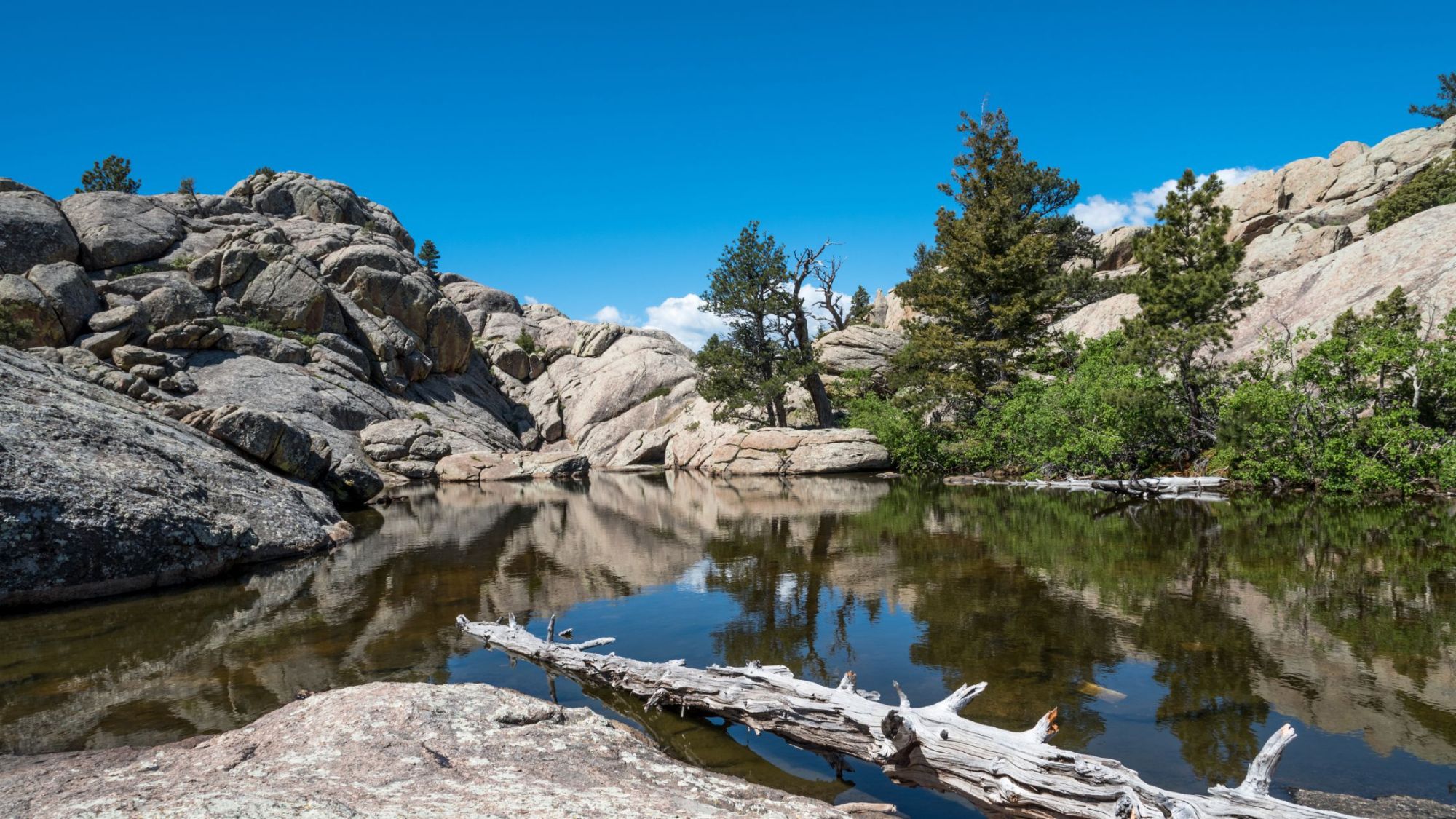 Find Colorado Real Estate 10 Instagram-Worthy Spots in Fort Collins, Colorado Davis Van Tilburg Realtor
