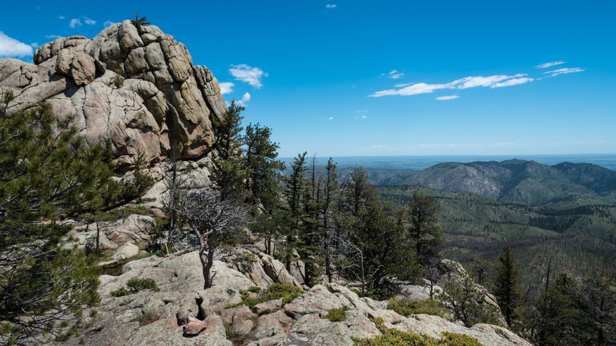 The Best Hikes Near Fort Collins for Every Skill Level with Find Colorado Real Estate Davis Van Tilburg (1)