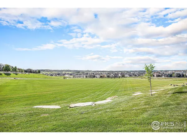 4600 Shady Path Ln, Castle Rock, CO 80104